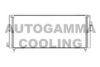 AUTOGAMMA 103687 Condenser, air conditioning